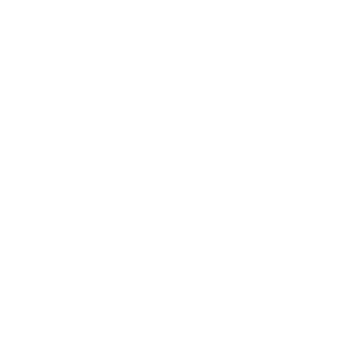 North Face Logo White
