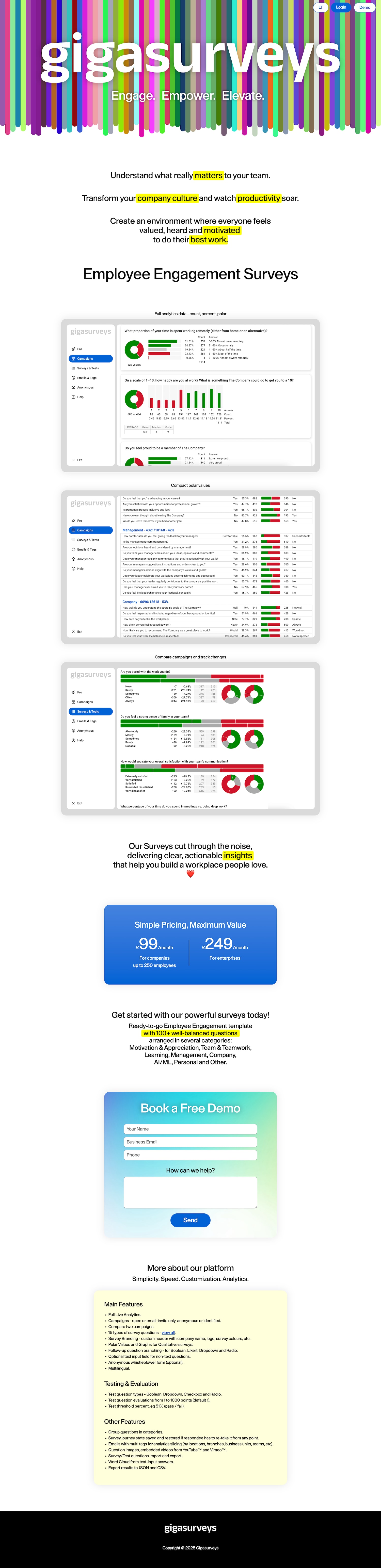 GigaSurveys Website Design
